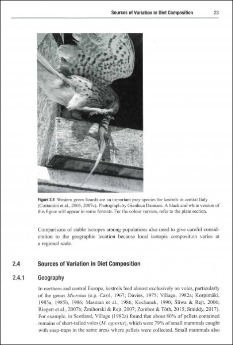 the kestrel. ecology, behaviour and conservation of an open-land predator