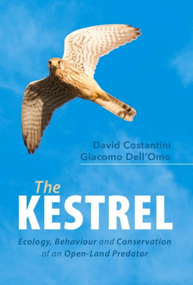 the kestrel. ecology, behaviour and conservation of an open-land predator