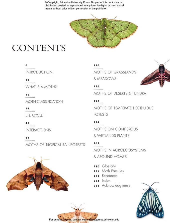 the lives of moths. a natural history of our planet's moth life