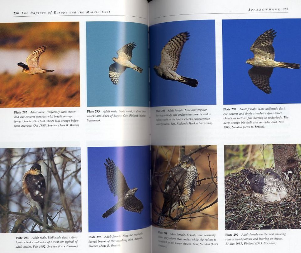 the raptors of europe and the middle east. a handbook of field identification.