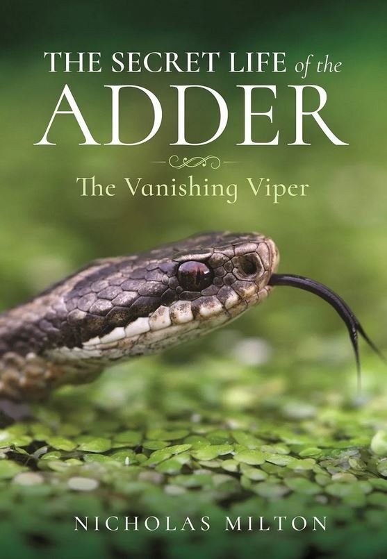 the secret life of the adder. the vanishing viper
