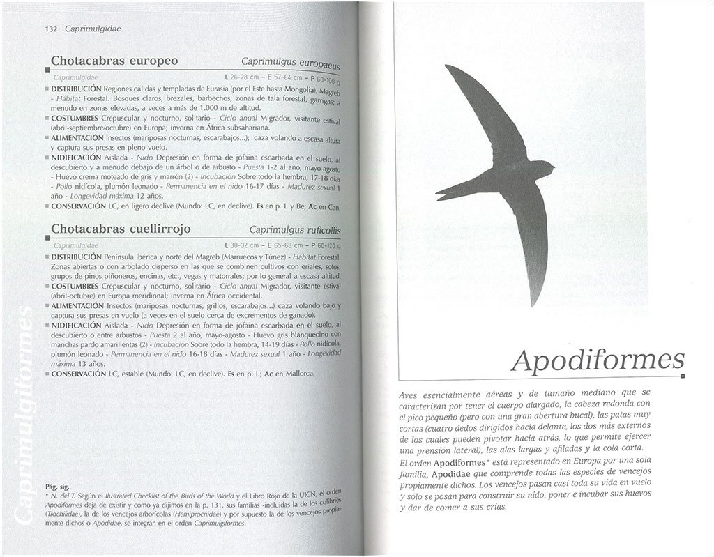 todo sobre las aves de europa