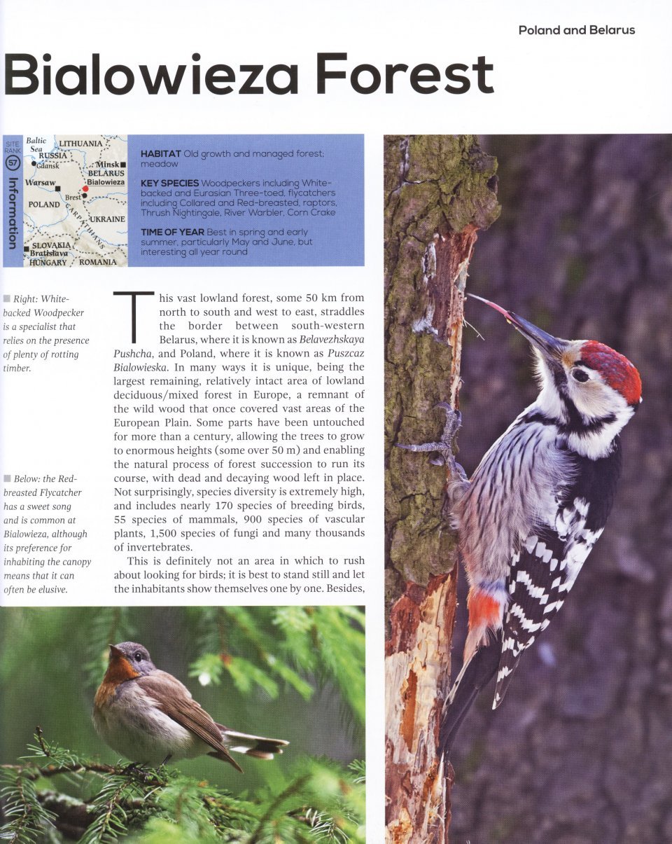 top 100 birding sites of the world
