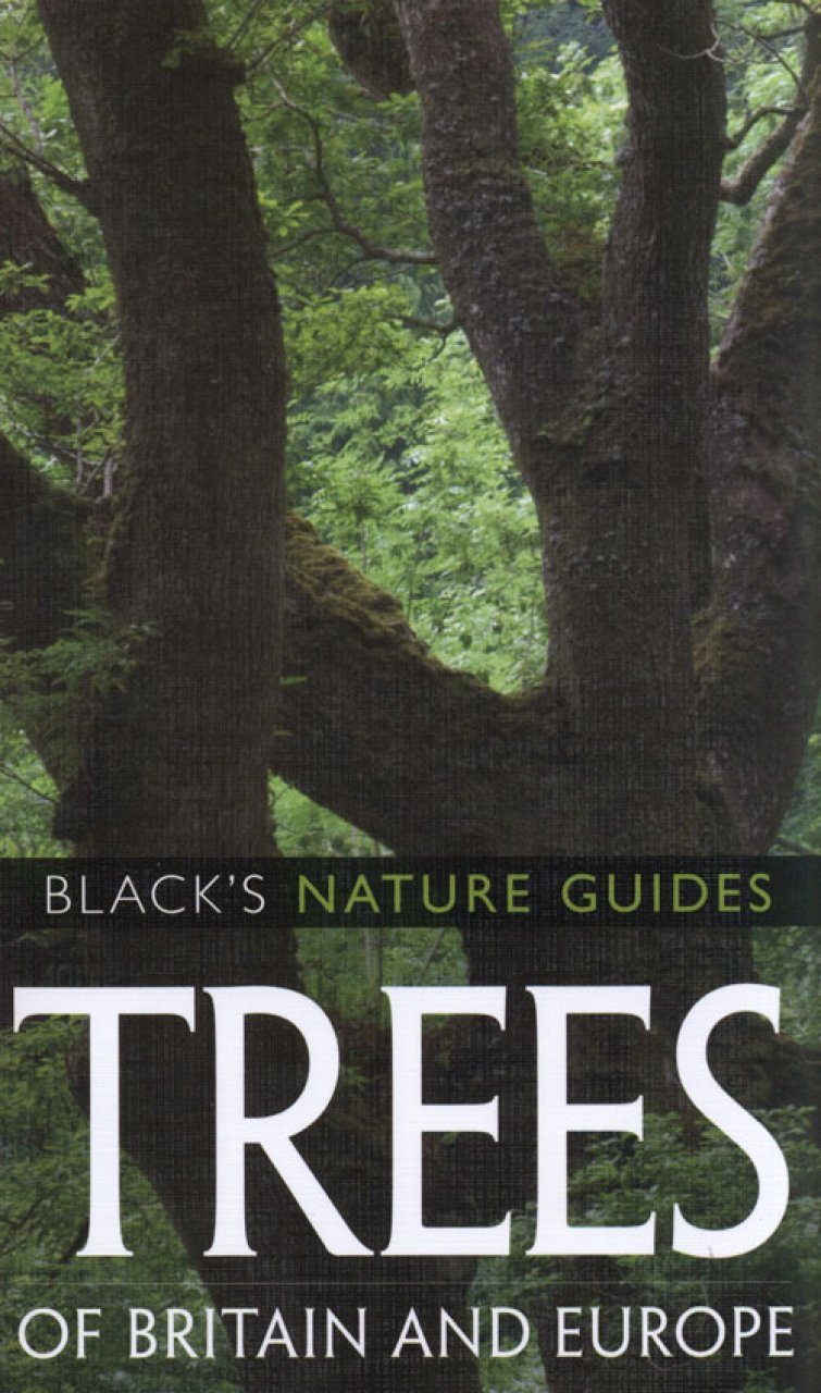 trees of britain and europe
