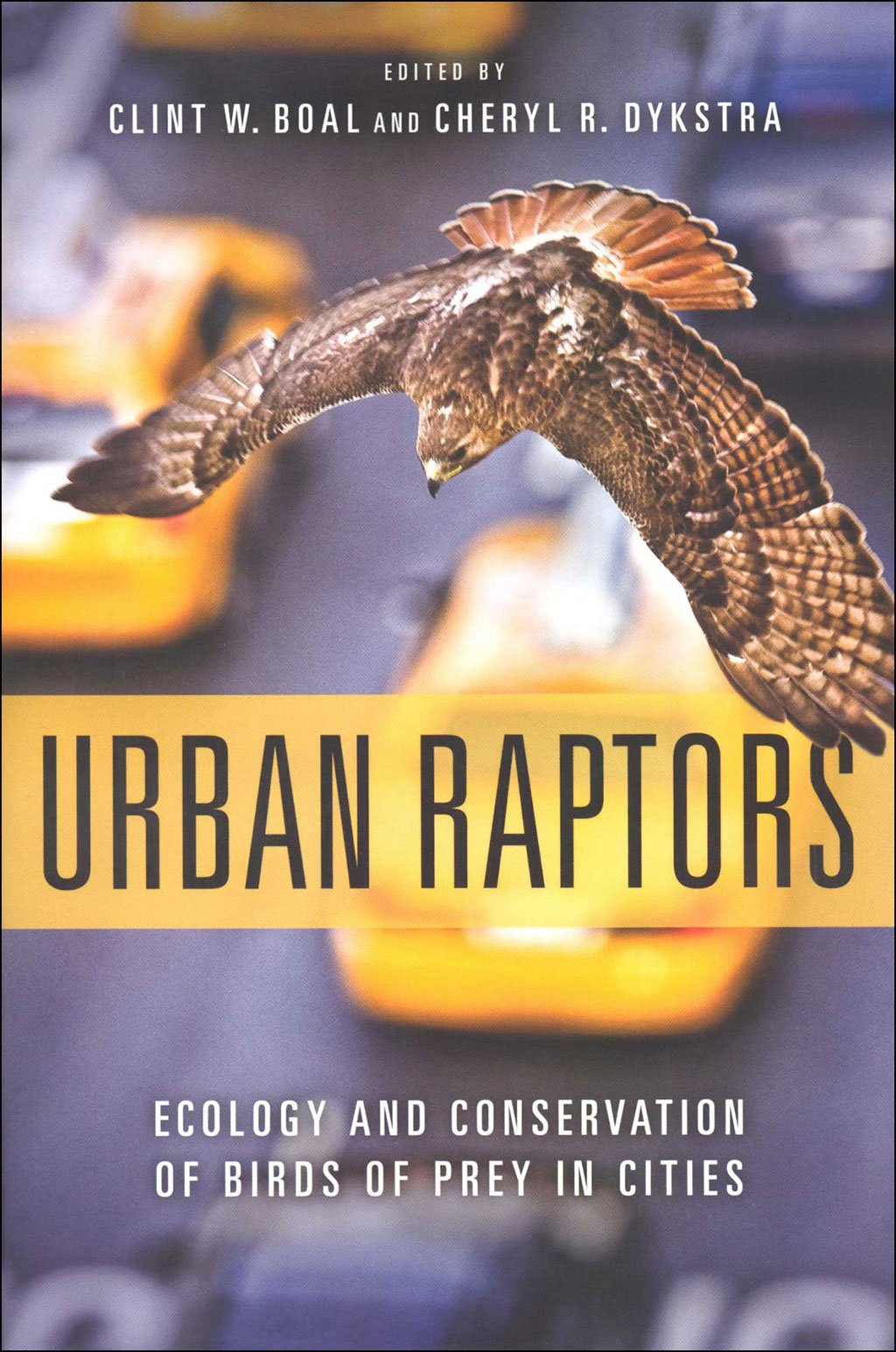 urban raptors. ecology and conservation of birds of prey in cities