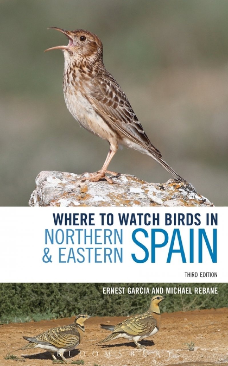 where to watch birds in northern & eastern spain