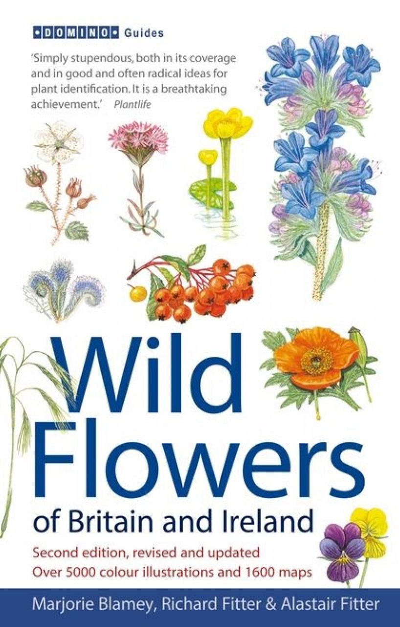 wild flowers of britain and ireland