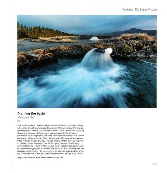 wildlife photographer of the year. portfolio 32