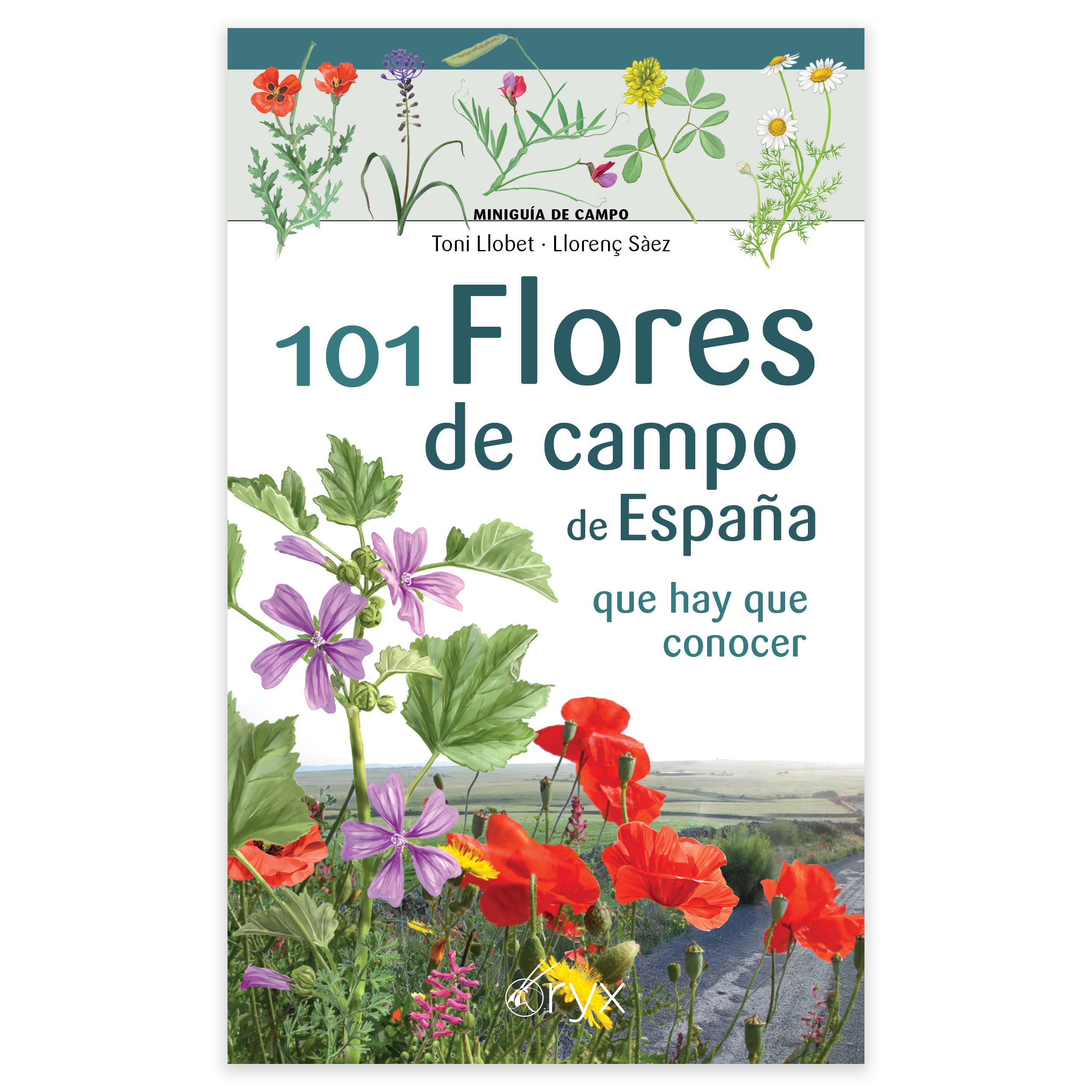 101 flores de campo de espaa. minigua de campo