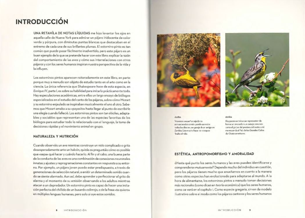 el comportamiento de las aves. cmo interpretar lo que hacen y por qu