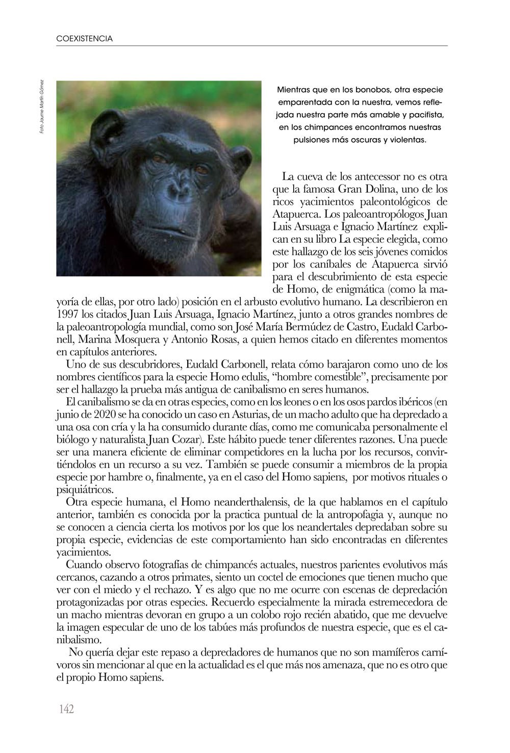coexistencia. un viaje por las relaciones entre carnvoros y humanos