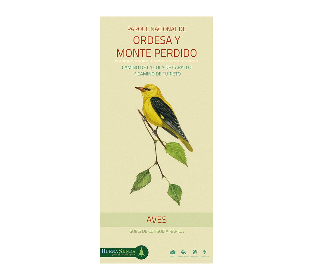 parque nacional de ordesa y monte perdido. camino de la cola de caballo y camino de turieto. aves. guas de consulta rpida