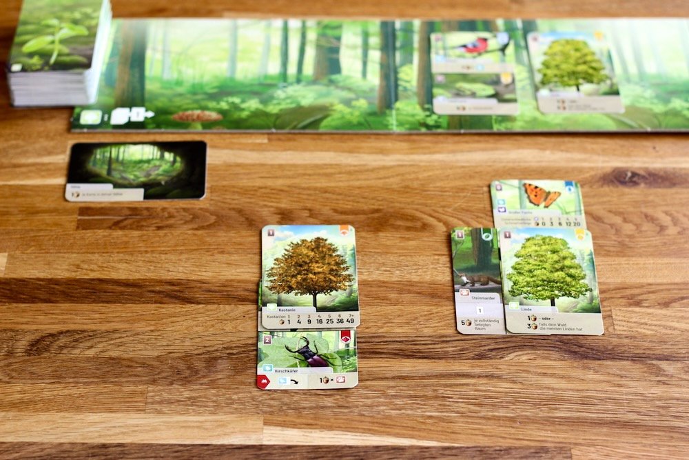 joc embosca't. forest shuffle en catal