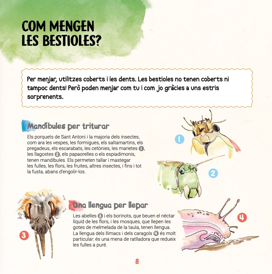 descobreixo les bestioles i aprenc a reconxer-les