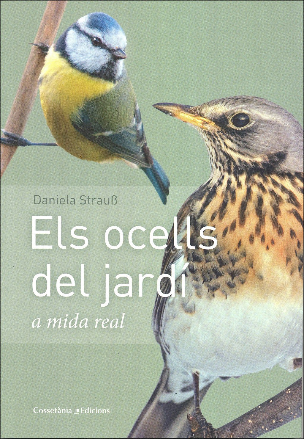 els ocells del jard a mida real