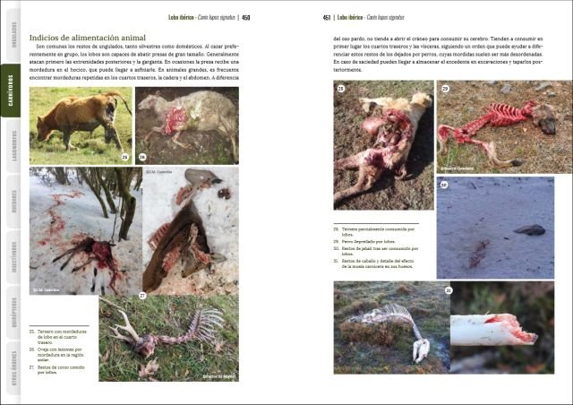 gua visual de huellas y rastros de la fauna de espaa y resto de europa