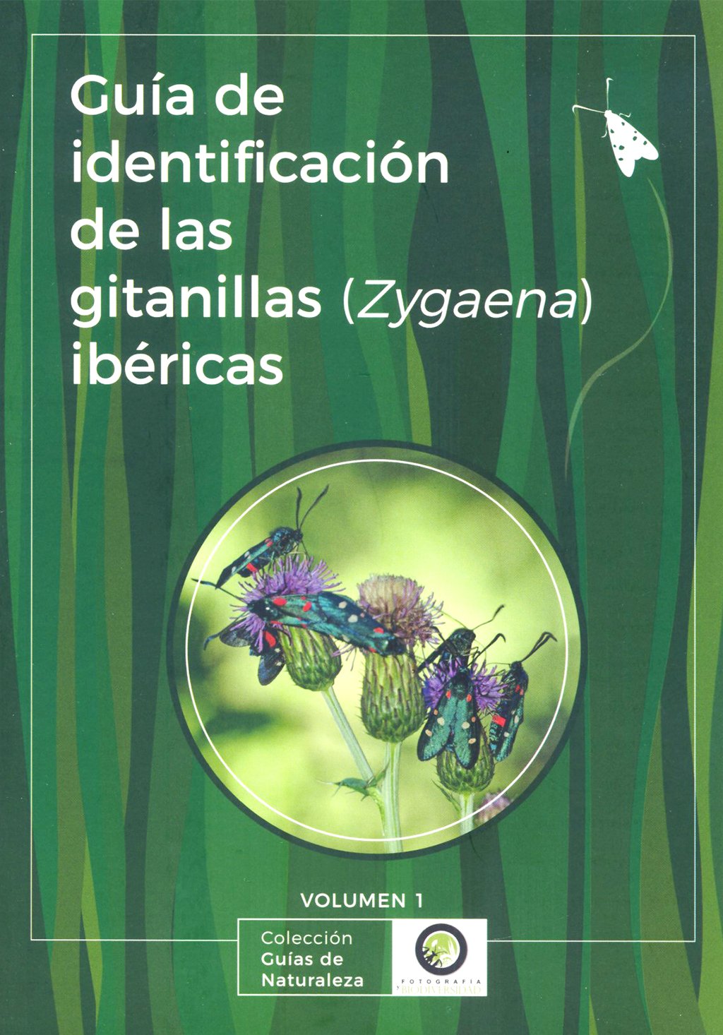 gua de identificacin de las gitanillas ibricas (zygaena)