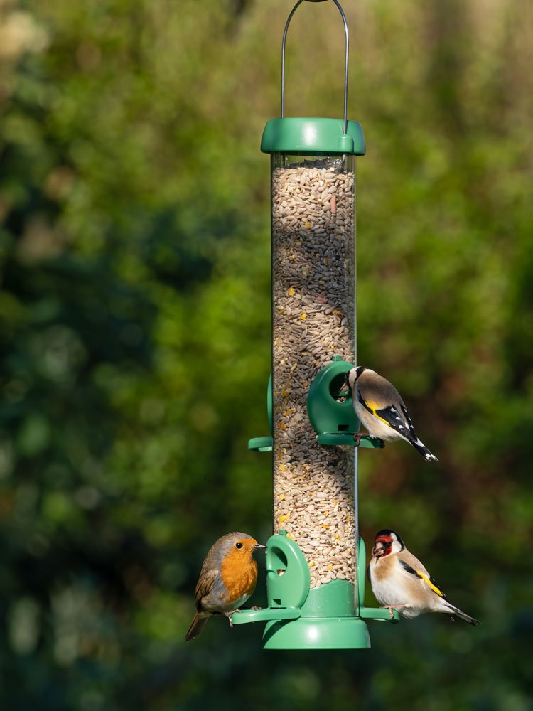 bl2-s2g "bird lovers" comedero tubular para aves silvestres mediano para mezcla de semillas fcil de limpiar