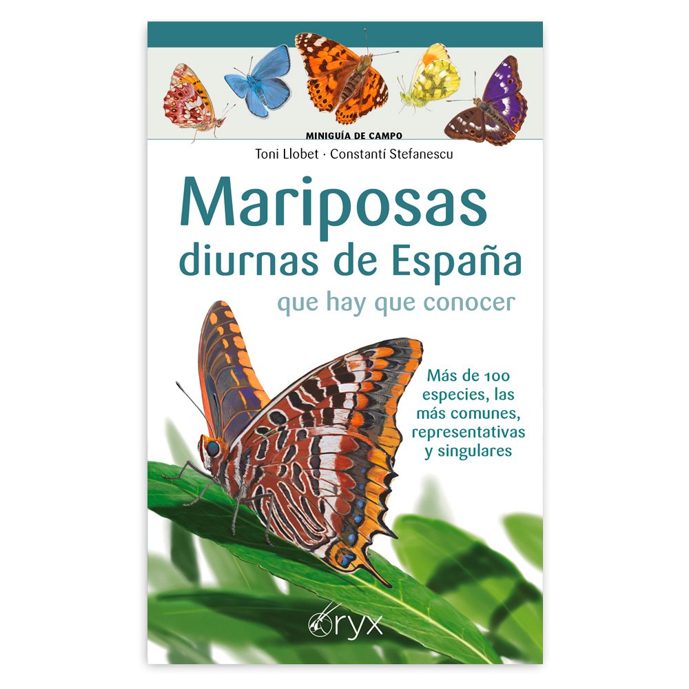 mariposas diurnas de espaa que hay que conocer. minigua de campo