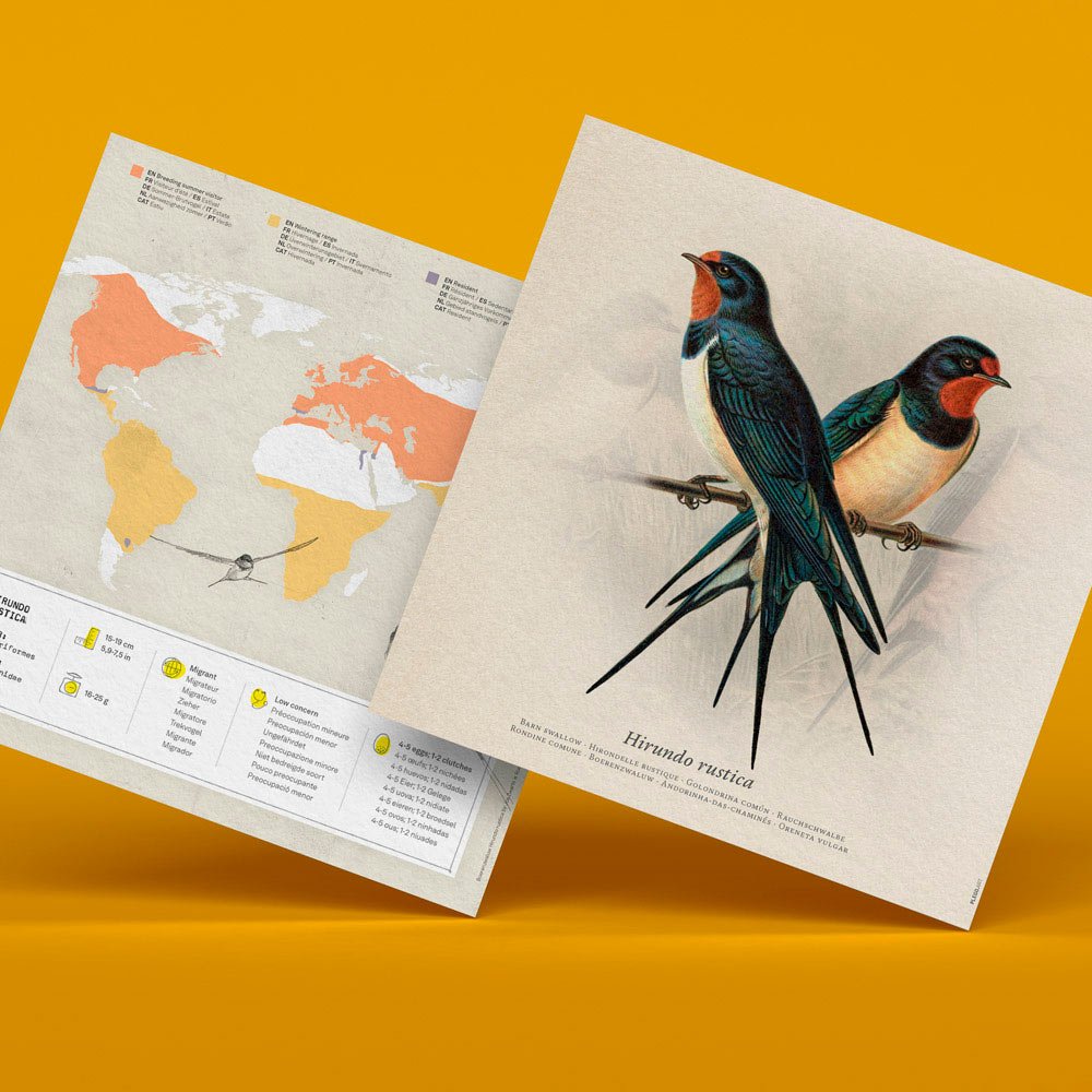 plegopaper- figura recortable de golondrina (oreneta com)