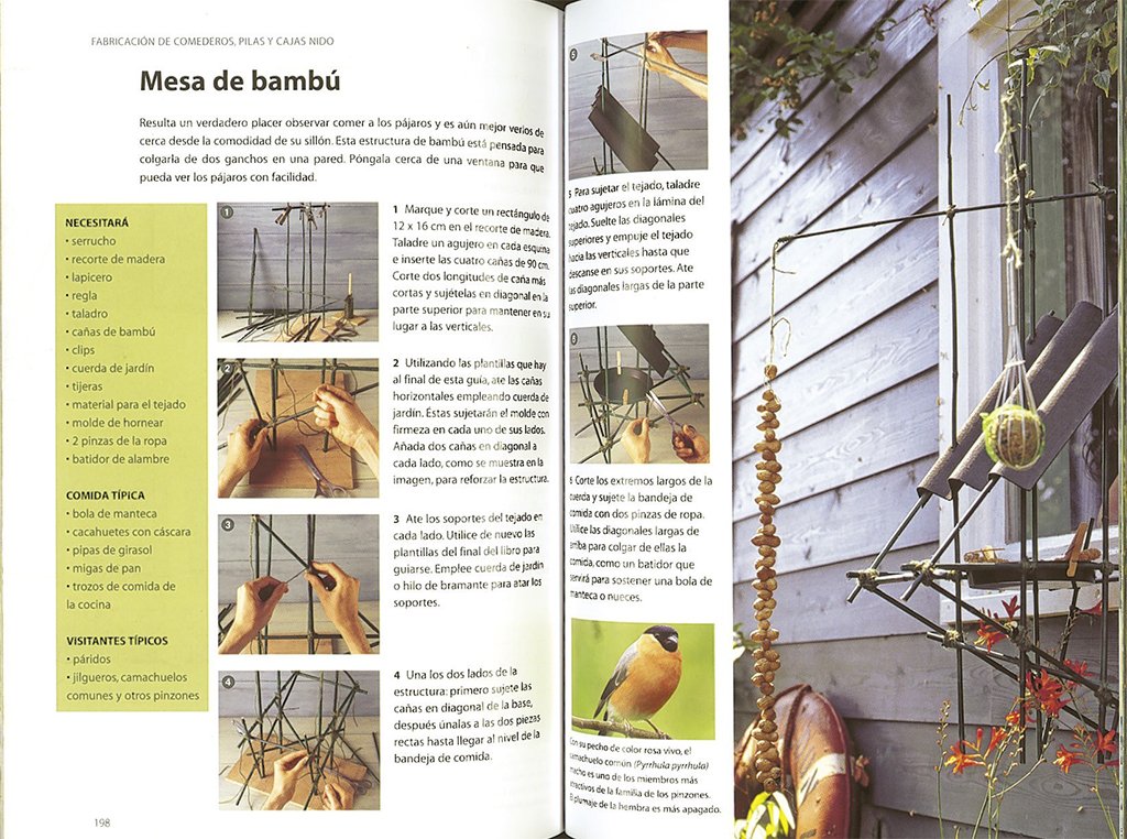 gua para atraer a las aves a su jardn