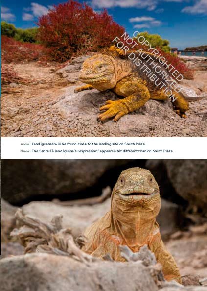 galpagos. a natural history