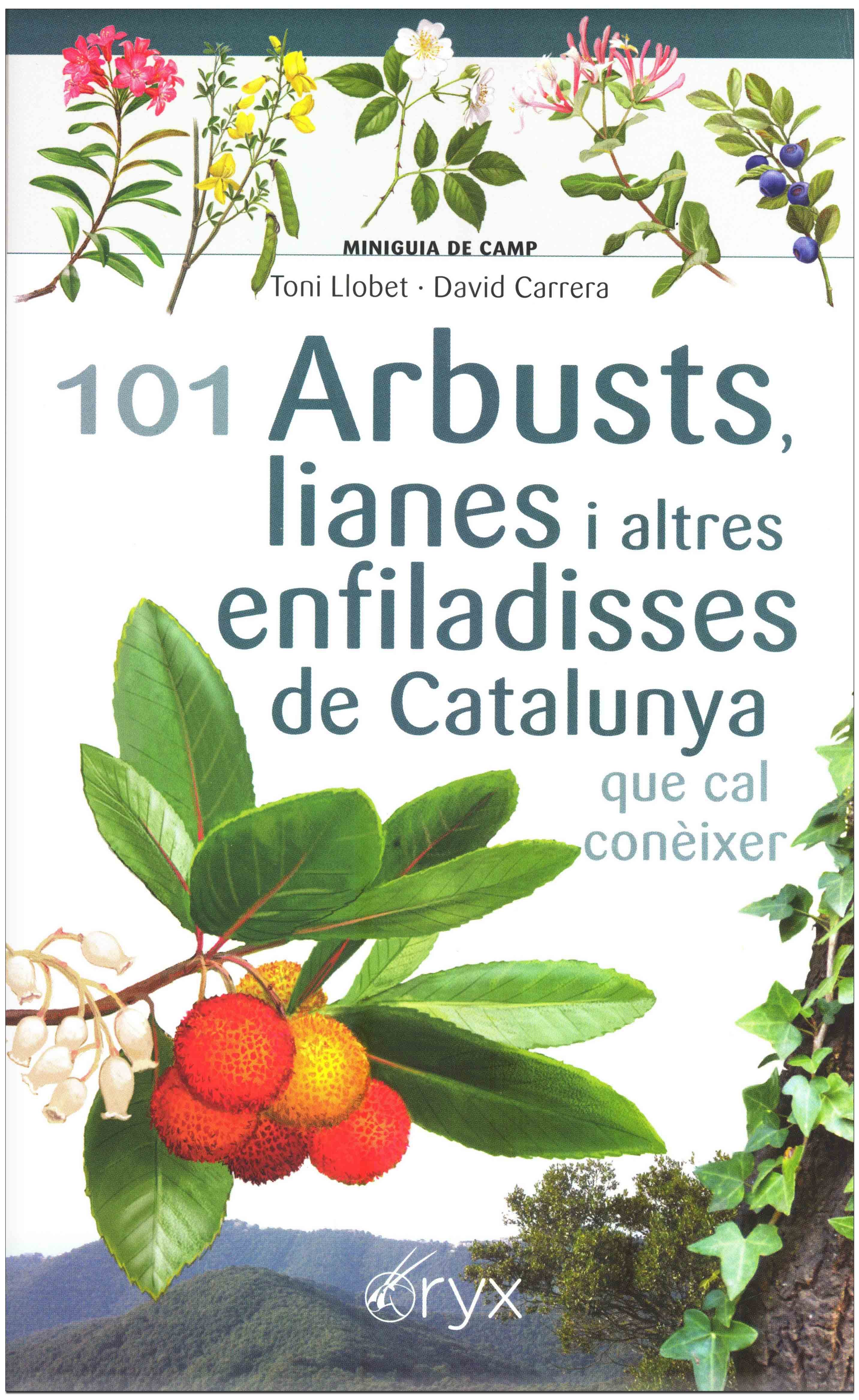 101 arbusts, lianes i altres enfiladisses de catalunya que cal conixer. miniguia de camp