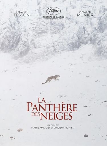 dvd la panthre des neiges