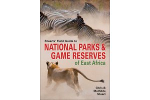 visita y/o viaje frica