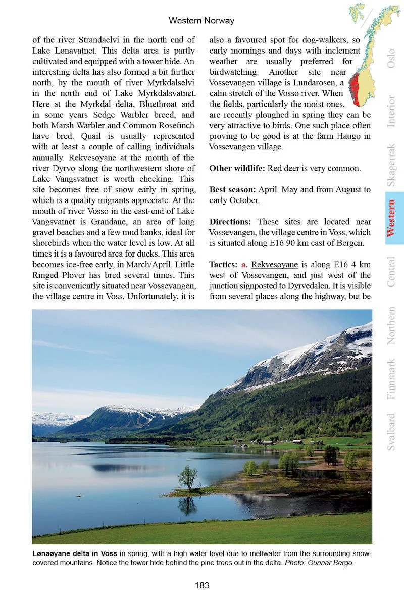 a birdwatcher's guide to norway. where, when and how to find scandinavia's most sought-after birds featuring varanger, svalbard, lofoten, oslo bergen & more