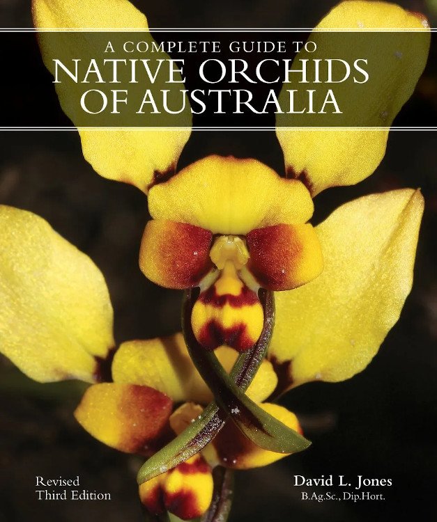 a complete guide to native orchids of australia