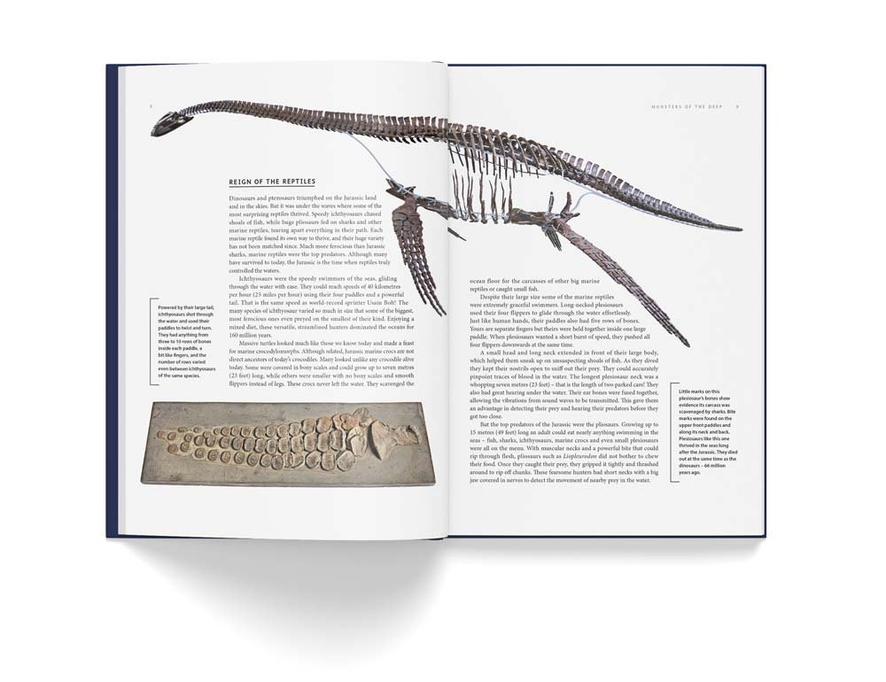 ancient sea reptiles. pleiosaurs, ichthyosaurs, mosasaurs & more