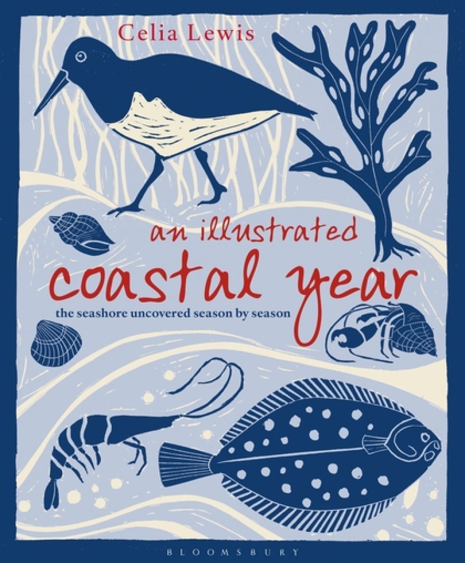 an illustrated coastal year. the seashore uncovered season by season