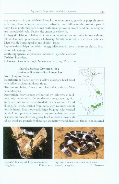 a photographic field guide to the amphibians and reptiles of the lowland monsoon forests of southern vietnam