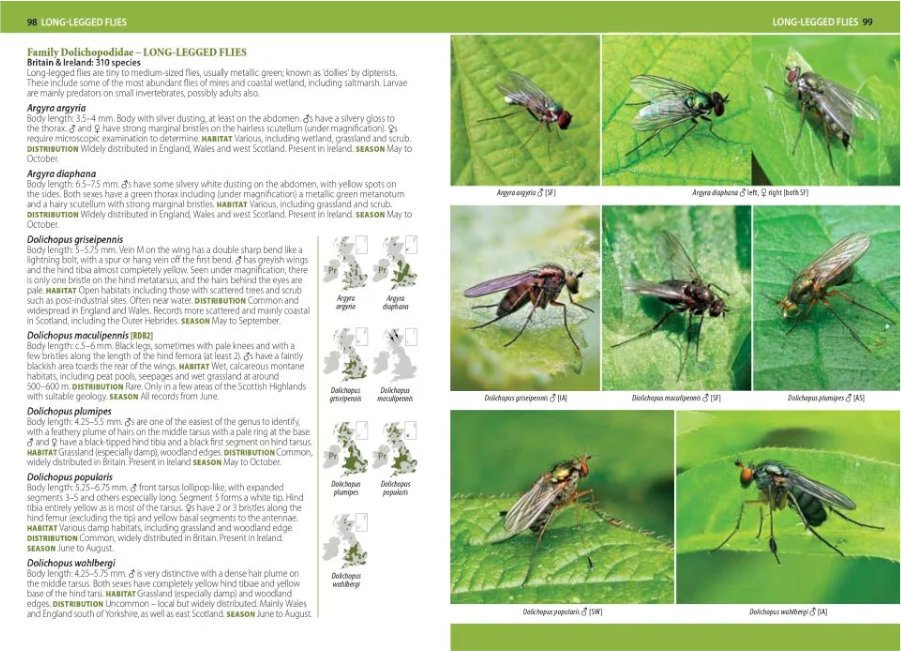a photographic guide to flies of britain & ireland