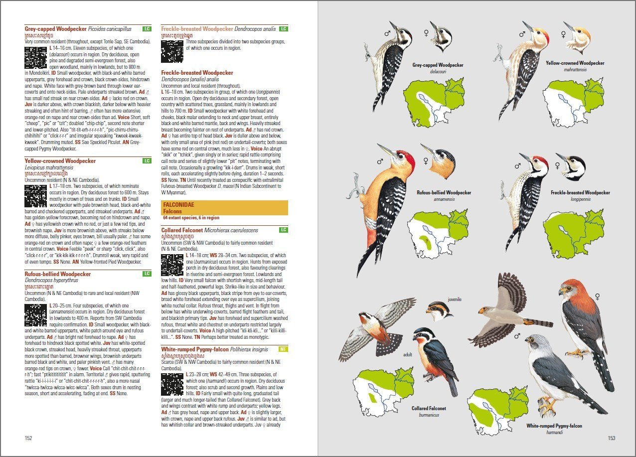 birds of cambodia