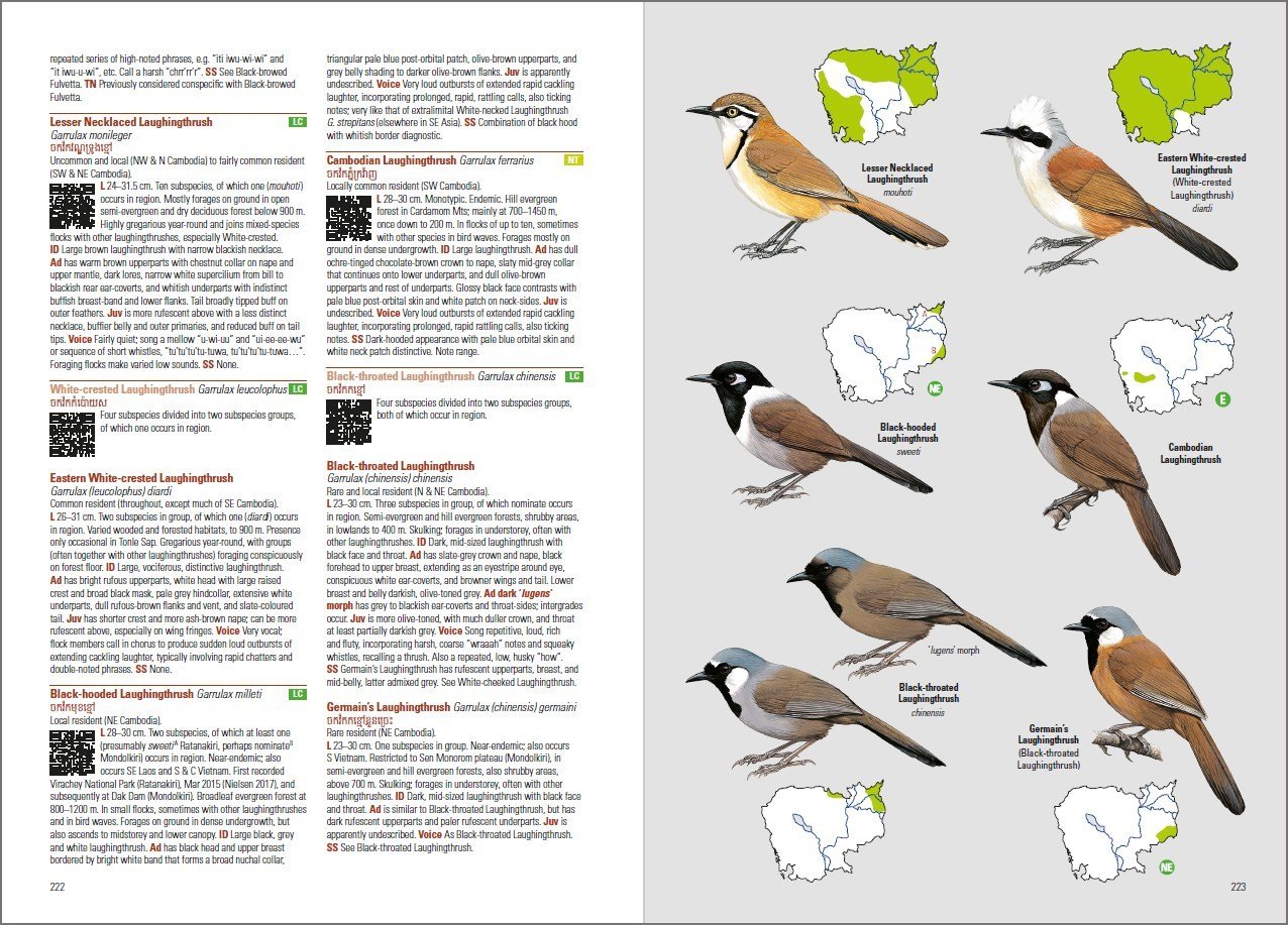 birds of cambodia