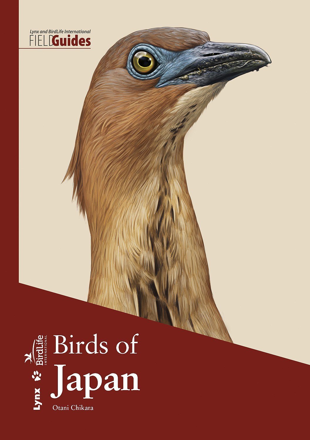 birds of japan