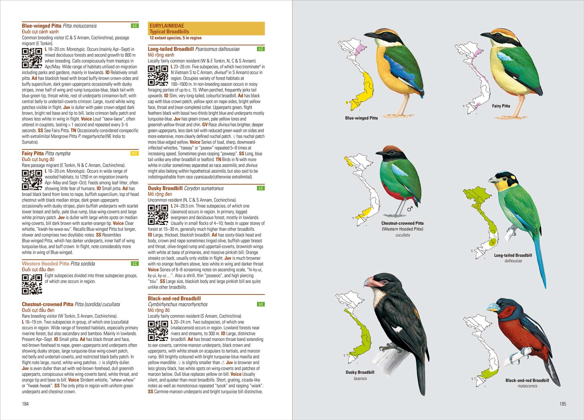 birds of vietnam