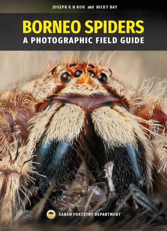 borneo spiders. a photographic field guide