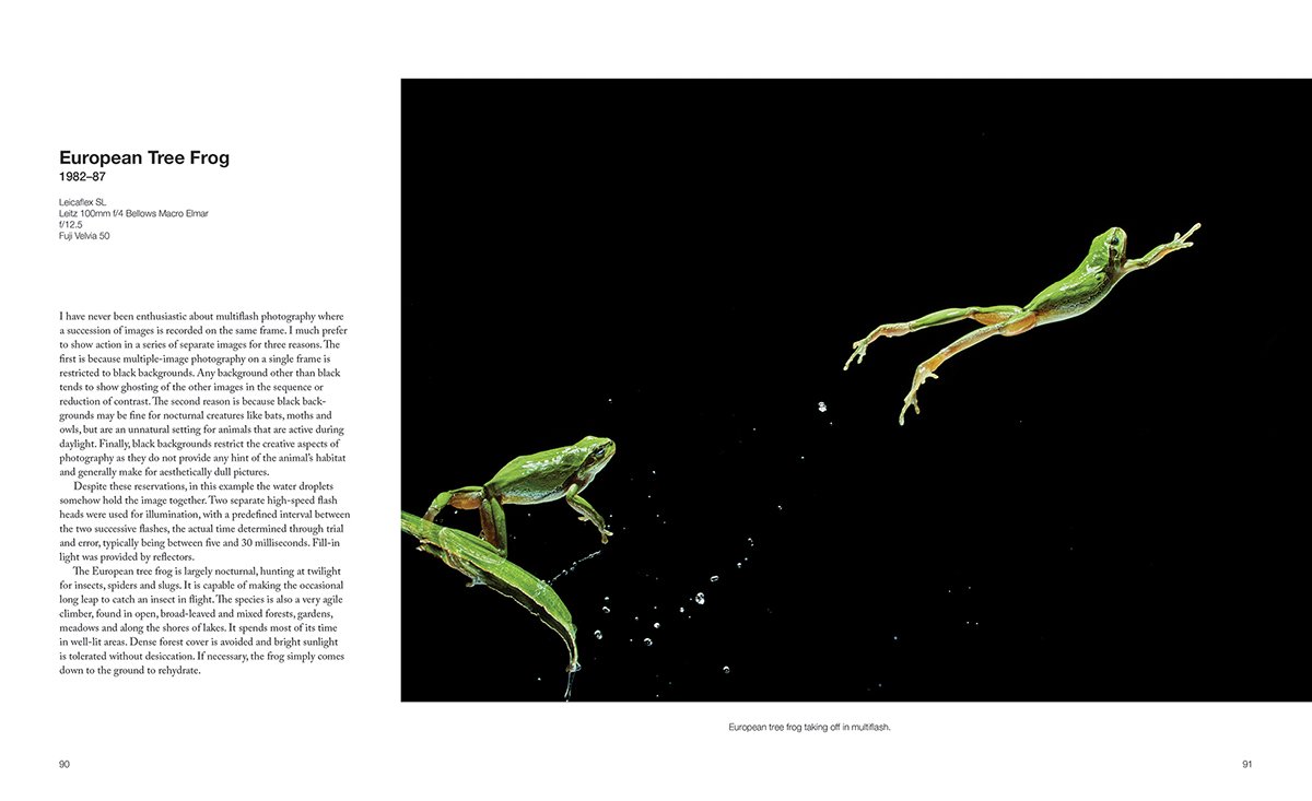 capturing motion: my life in high speed nature photography