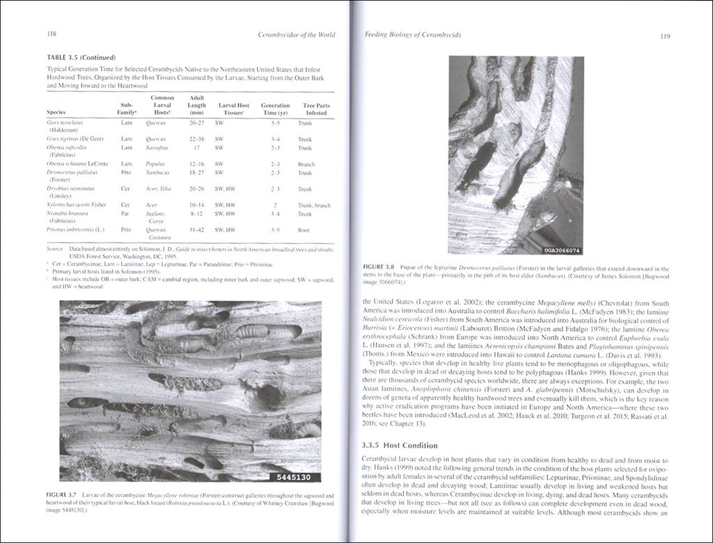 cerambycidae of the world: biology and pest management