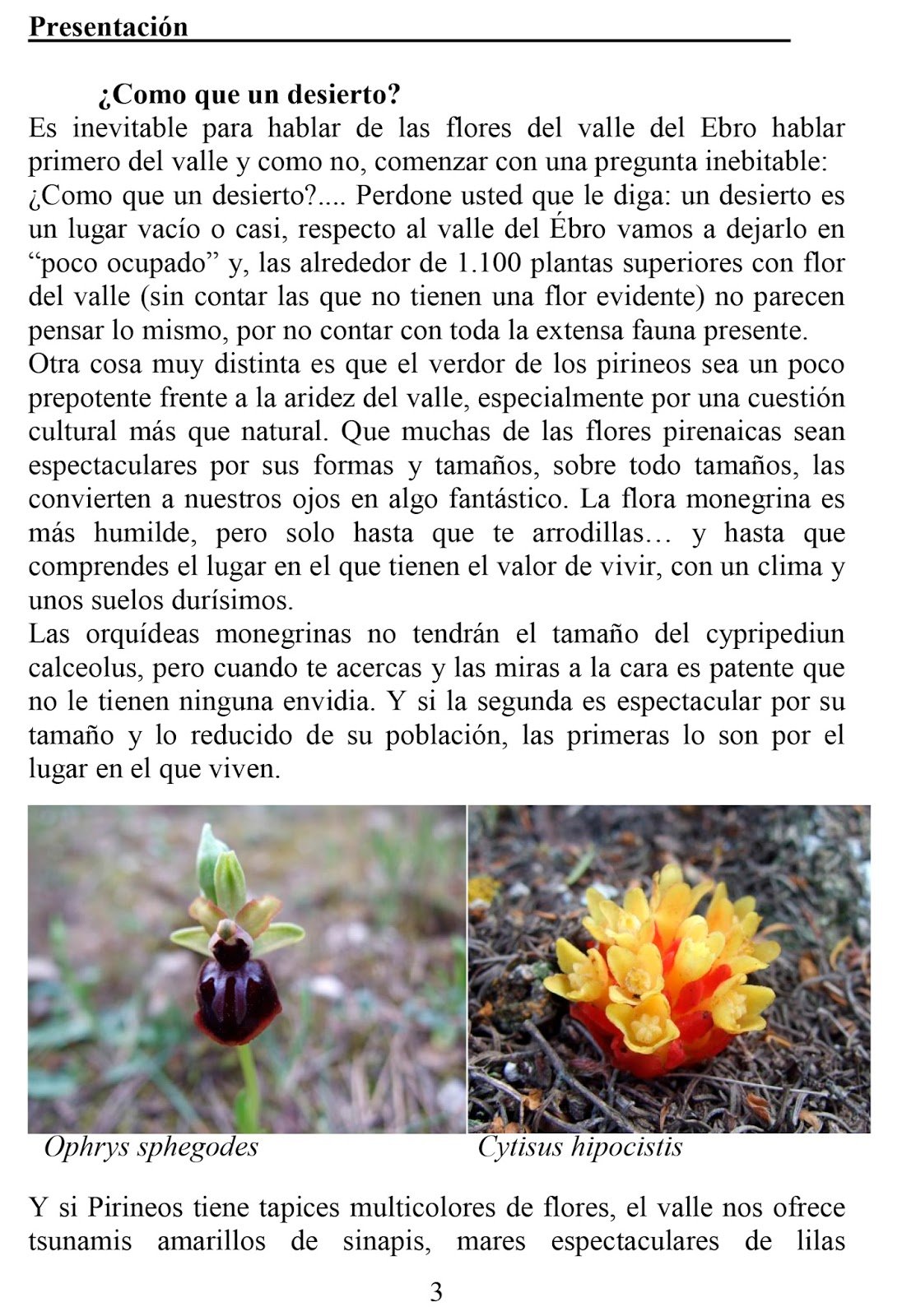 claves ilustradas de las flores del valle del ebro