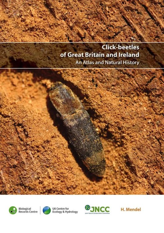 click-beetles of great britain and ireland. an atlas and natural history