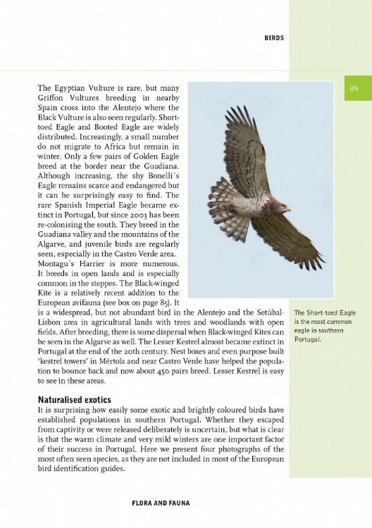 crossbill nature guides southern portugal. from lisbon to the algarve