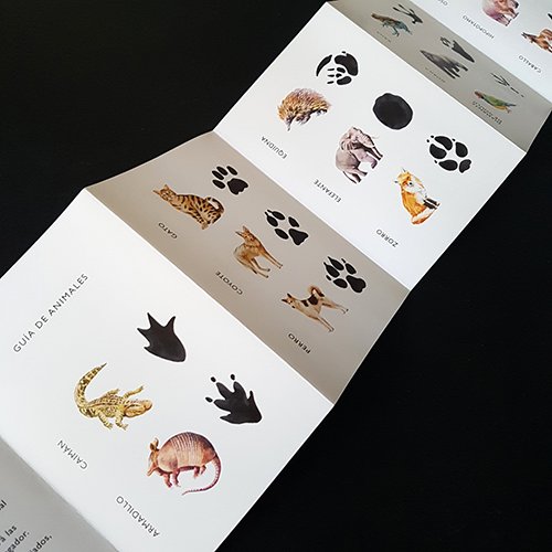 descubre la huella. empareja 25 animales con sus huellas