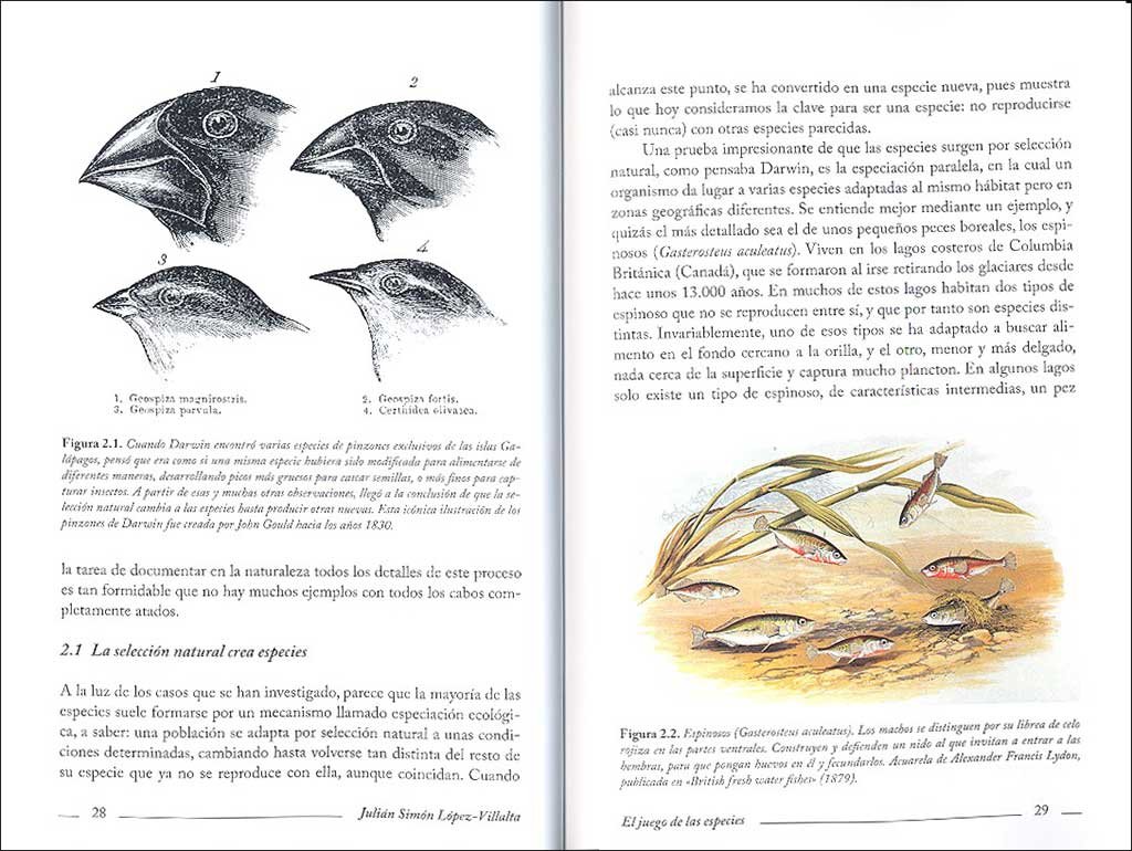 el juego de las especies