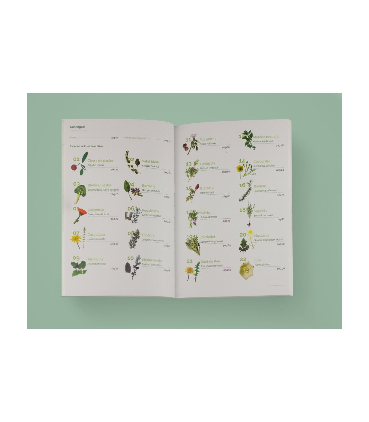 el llibre de les plantes silvestres comestibles 2