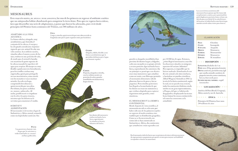 enciclopedia ilustrada de los dinosaurios