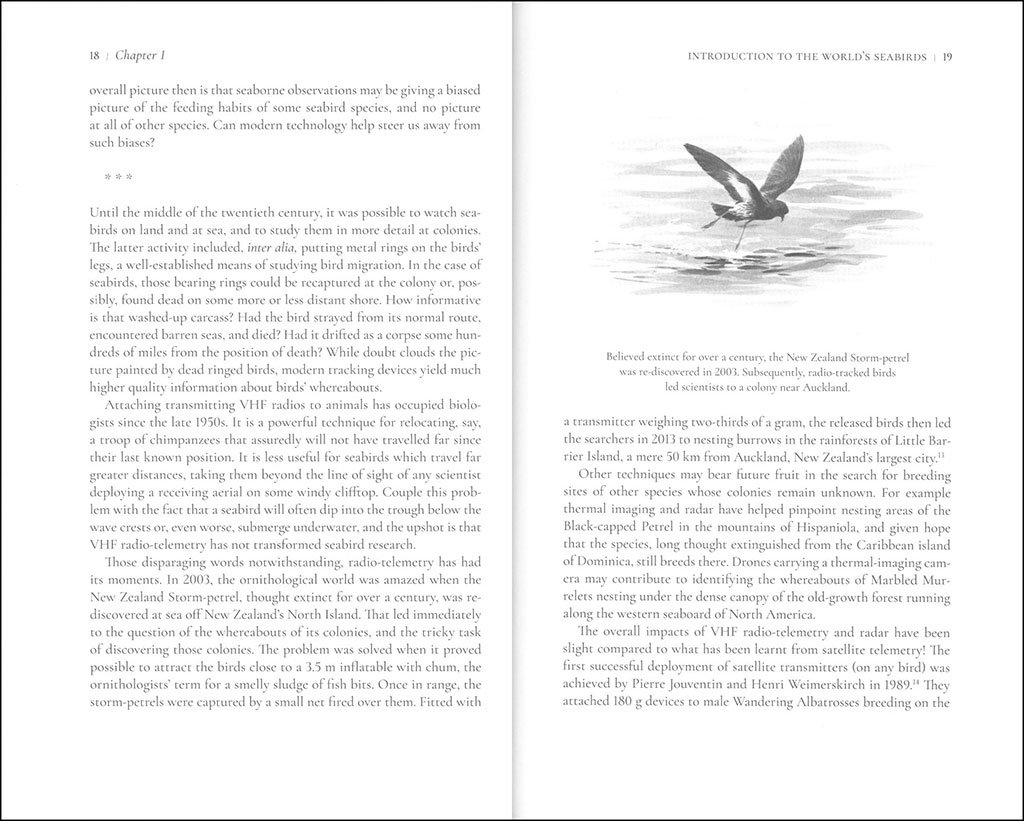 far from land. the mysterious lives of seabirds